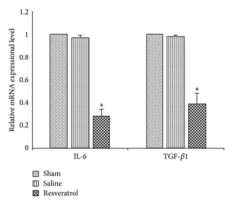 The mRNA expressional level of IL-6 and TGF-β1 in epidural scar tissue ... 