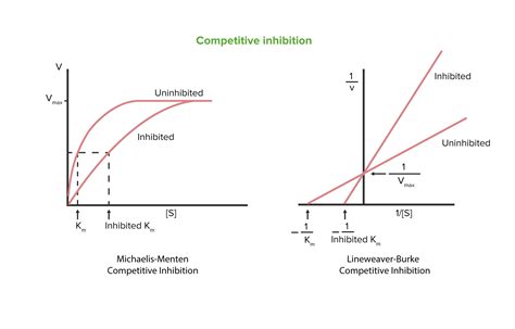 Inibição Enzimática Concise Medical Knowledge