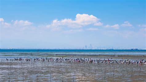 潮干狩り／木更津海岸｜イベント｜千葉県公式観光サイト ちば観光ナビ