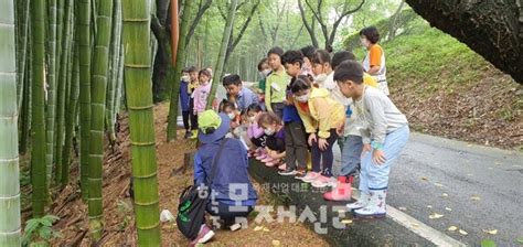 국립산림과학원 산림교육전문가와 다양한 산림교육 프로그램 운영한다