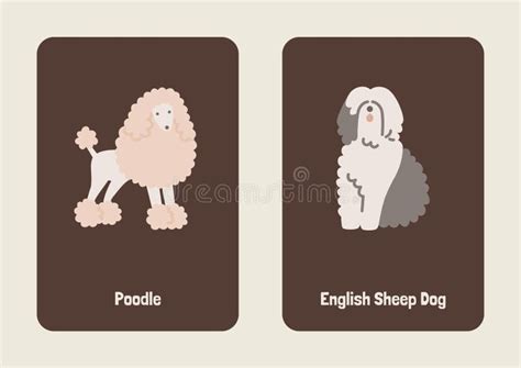 Brown Flashcard Stock Illustrations – 357 Brown Flashcard Stock ...