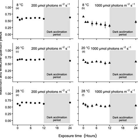 The chronological change of photochemical efficiency ΔF Fm in