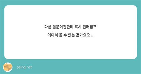 다른 질문이긴한데 혹시 윈터캠프 어디서 볼 수 있는 곤가요오 Peing 質問箱