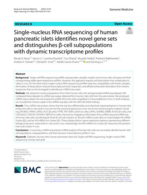 Pdf Single Nucleus Rna Sequencing Of Human Pancreatic Islets