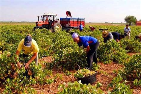 Upa Recuerda A Teresa Ribera Que Sin Agricultores Y Ganaderos No Es