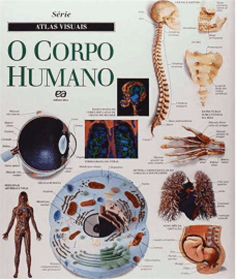 Livro O Corpo Humano Vários Autores Sebo Online Container Cultura