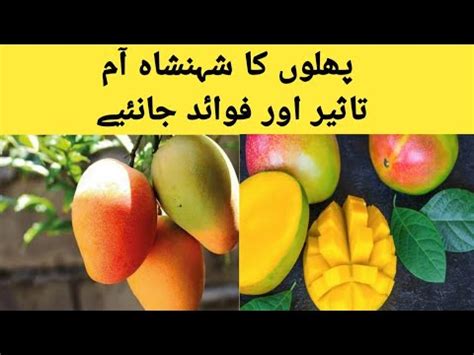 Aam Ke Fayde In Urdu Hindi Benefits Of Eating Mango Youtube