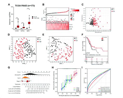 Construction Of A PAAD Prognostic Model Based On Three Candidate Genes