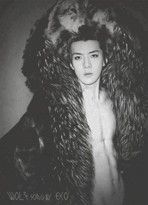 SeHun Wolf Fan Art Hot Korean Guys Korean Men Exo Korea Wolf