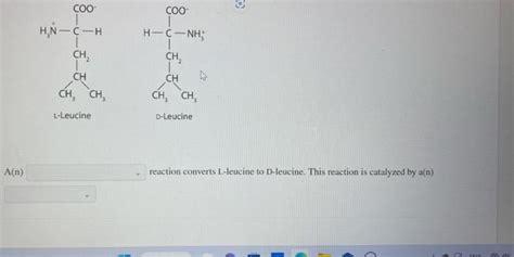 For Each Pair Of Biomolecules Identify The Type Of Chegg