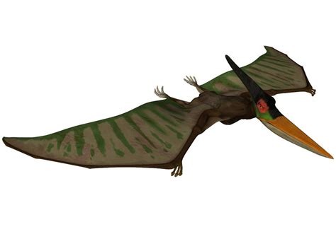 Names Of All Flying Dinosaurs Dinosaurs Pictures And Facts