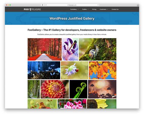 15 Best WordPress Gallery Plugins For Free 2025 Colorlib