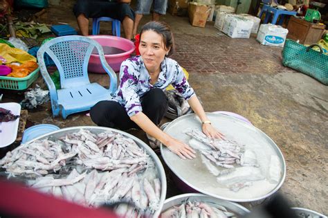 Reconciling shrimp aquaculture and mangrove protection | SNV