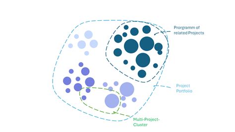 Understanding the Program Management Officer’s Role in PPM | Nordantech