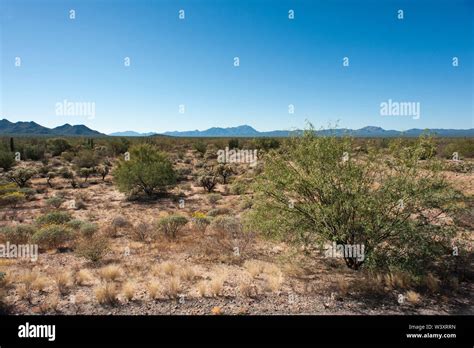 Sonora desert mexico hi-res stock photography and images - Alamy