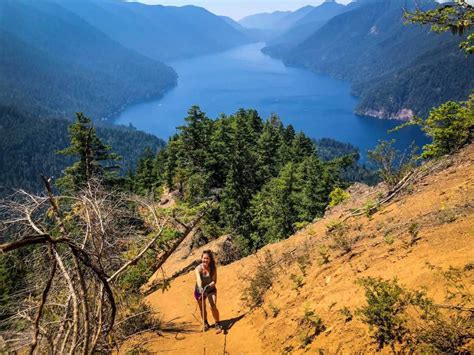 20 Best Hikes in Olympic National Park - Go Wander Wild