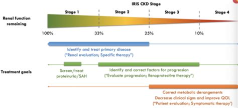 CKD IRIS Stages Flashcards | Quizlet