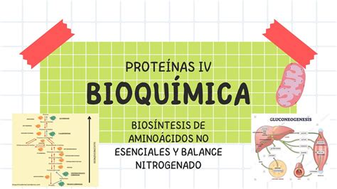 Bioquímica Biosíntesis de aminoácidos no esenciales y balance