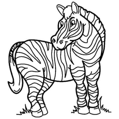 Zebras Para Colorir Desenhos Fofos Para Imprimir Gr Tis