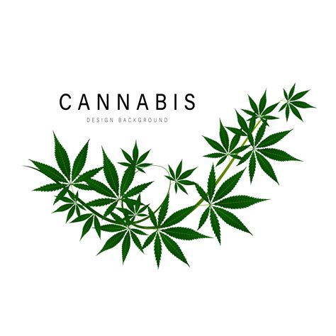 Marihuana Medicinal Logotipo De Hoja Verde De Cannabis Ilustración