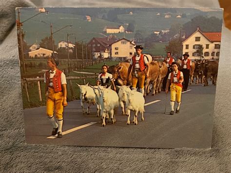 AK Von Alpabfahrt Bei Appenzell Kaufen Auf Ricardo