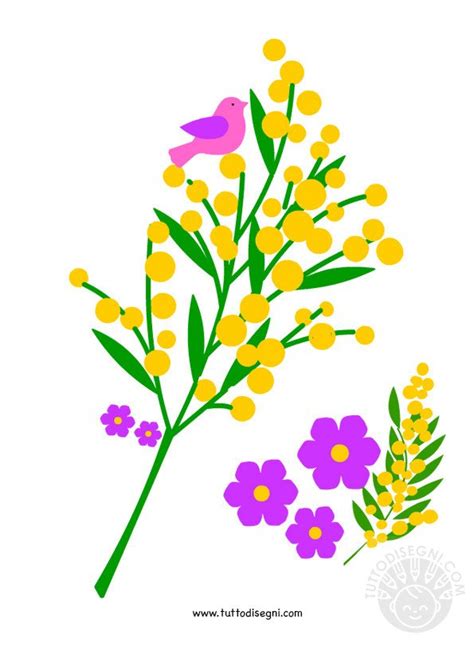 Mimose Immagini Da Stampare TuttoDisegni