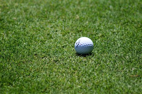 white golf ball  stock photo