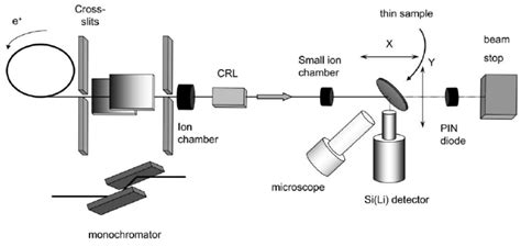 Synchrotron M Xrf Set Up At Beam Line Id18f Of Esrf Grenoble France Download Scientific