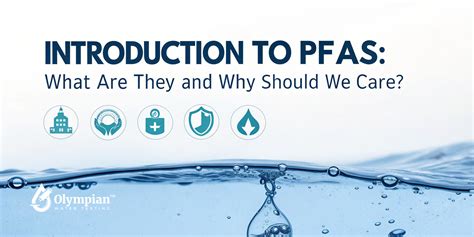 What Are Total Coliforms Understanding This Common Bacteria In Water