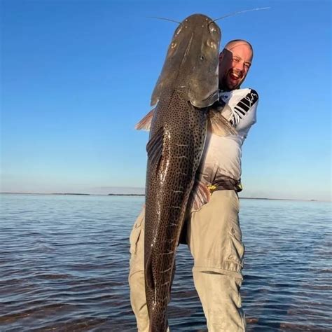 Pura emoción para un posadeño que pescó un surubí gigante El Territorio