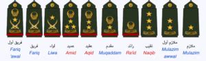 UAE Army Ranks: A Comprehensive Guide - khaleejfeed