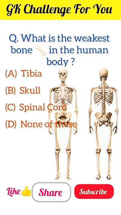 Weakest Bone Of Human Body Gk Currentgk Quiz Gkquiz Youtubeshorts Shorts Dailyvlog