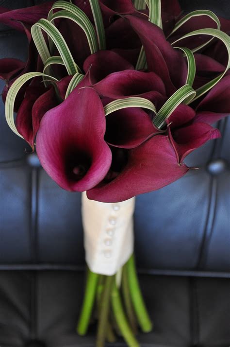 Tara McHugh Flora: Calla lily bouquet