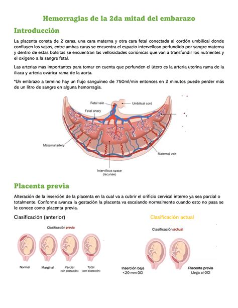 Hemorragias De La 2da Mitad Del Embarazo Hemorragias De La 2da Mitad