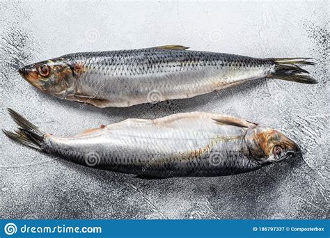 Pickled Whole Nordic Herring Gray Background Stock Image Image Of