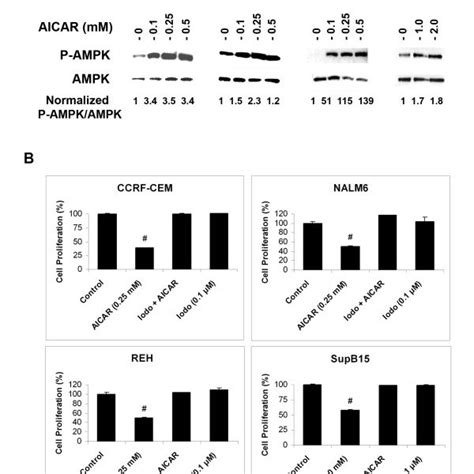 Aicar Activation Of Ampk Mediates Apoptosis In All Cells Via The