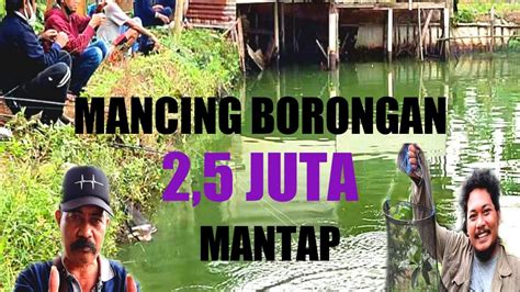 Mancing Ikan Gurame Induk Mancing Borongan Juta Mantap Youtube