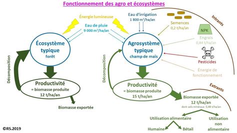 11 Agrosystèmes