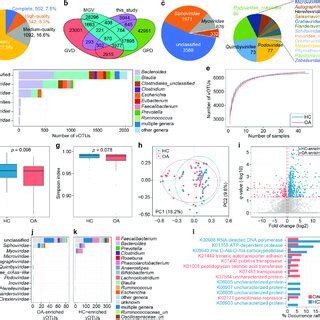 Characteristics Of The Gut Virus Catalogue And Gut Virome A Pie Plot