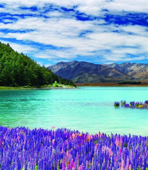 Lake Tekapo in New Zealand 🇳🇿 : r/newzealand