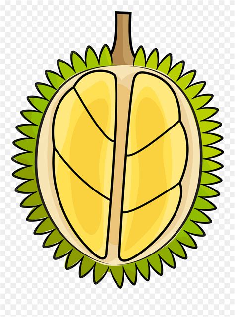 Download Durian Clipart - Png Download (#5459011) - PinClipart