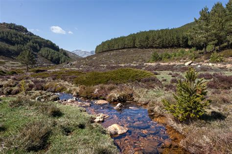 El gran engaño de las mariposas Montaña Palentina