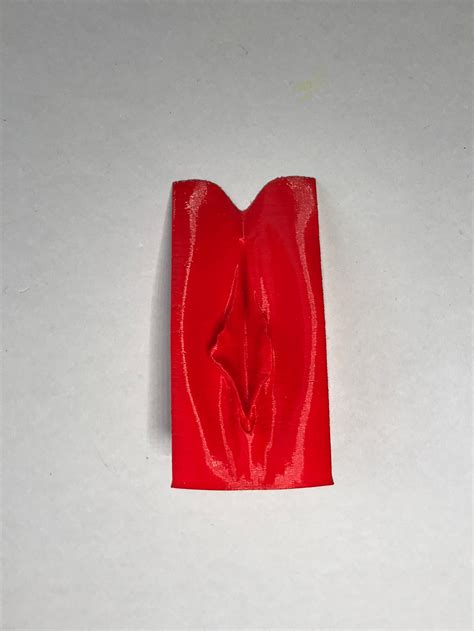 Vagina Anatomical Model For Educational Purposes Etsy