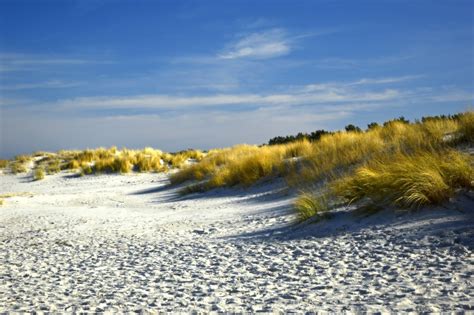 Dunes Paysage Plage Sable FOTOMELIAFOTOMELIA