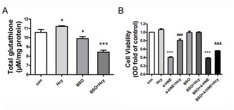 Nrf2 Mediates The Protective Effects Of Homocysteine By Increasing The