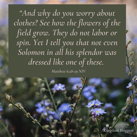 19 Bible Verses About Flowers