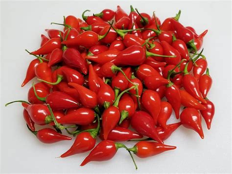 Семена перца чили - Фото