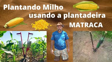 Dica Como Plantar Milho Usando A Plantadeira De Matraca Youtube