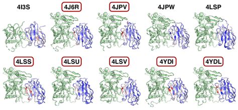 MIL model attention reveals paratope. Ten VRC01 antibodies annotated... | Download Scientific ...