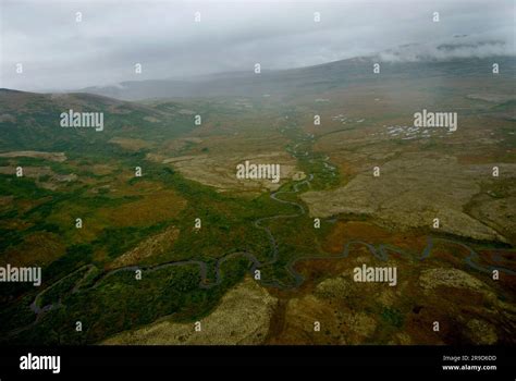 Pebble mine salmon hi-res stock photography and images - Alamy